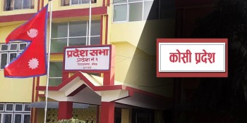 कोशी प्रदेशः स्वास्थ्य क्षेत्रमा रु तीन अर्ब ५८ करोड बजेट